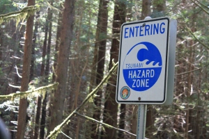 tsunami warning signs are everywhere lo